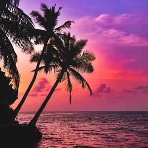 Meet your Posher, Serenity